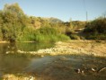 /album/photo-gallery-photogallery/river-scene-at-rio-azore-excellent-site-for-drining-serinand-spotted-and-pied-flycatcher-jpg/